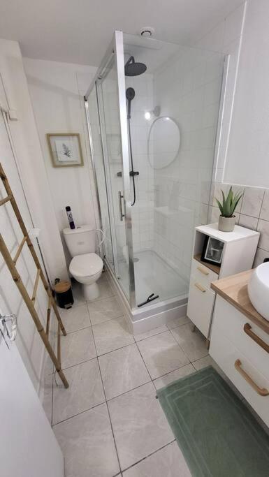 Appartement Cosy Булонь-сюр-Мер Екстер'єр фото